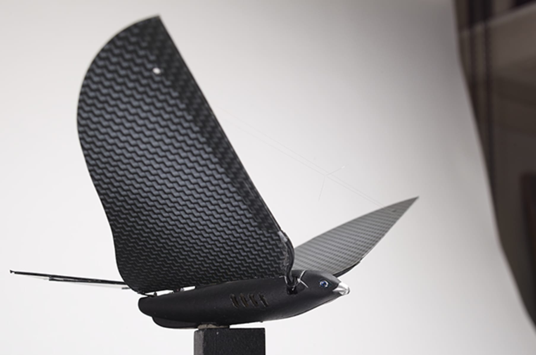 Xtim bionic clearance bird drone