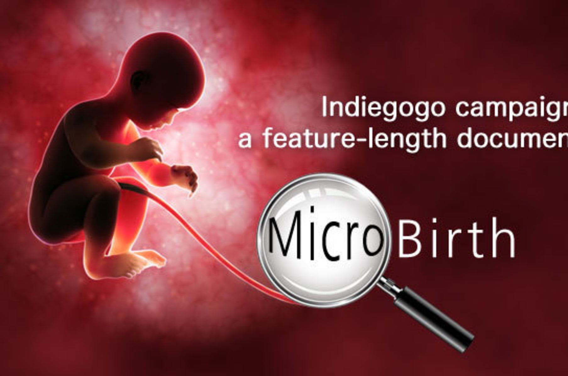 MICROBIRTH Indiegogo