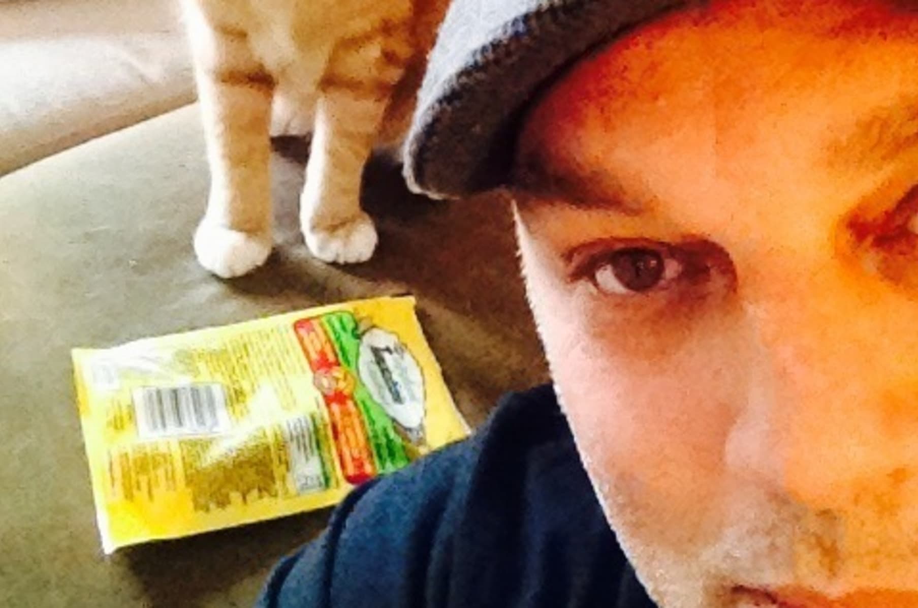 Toronto S Kitty Cat Cafe Indiegogo