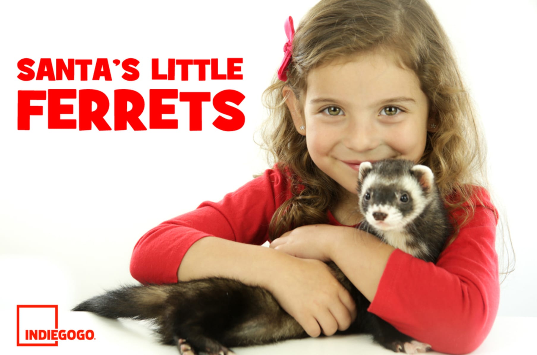 Santa s Little Ferrets Indiegogo