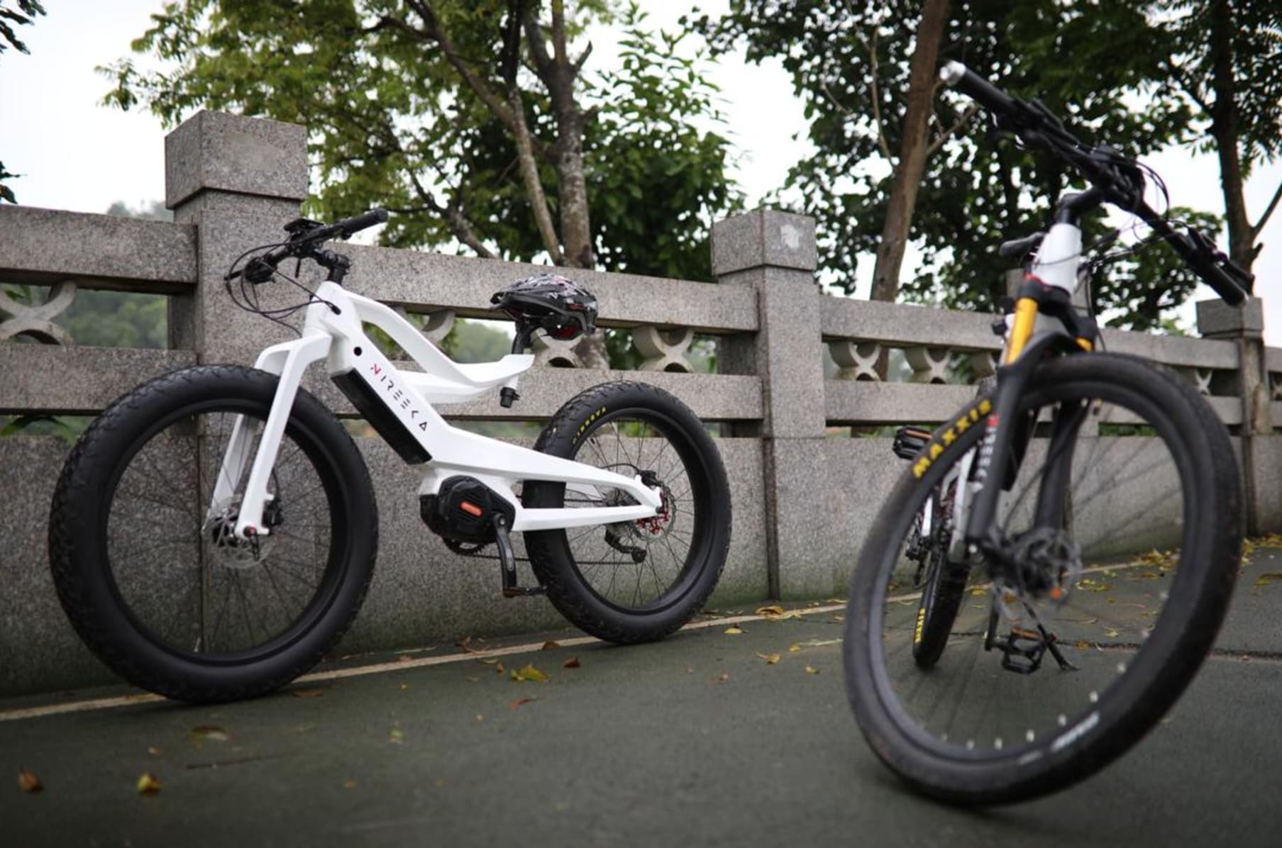 nireeka bike price