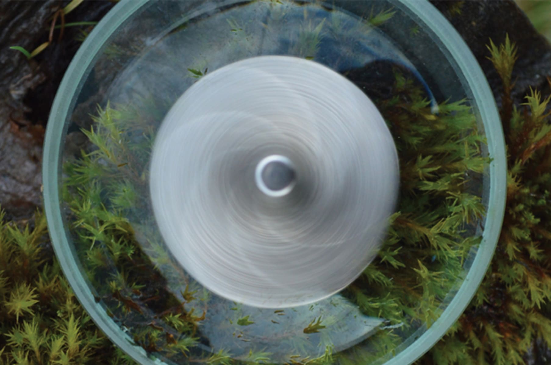 The zephyr spinning shop top