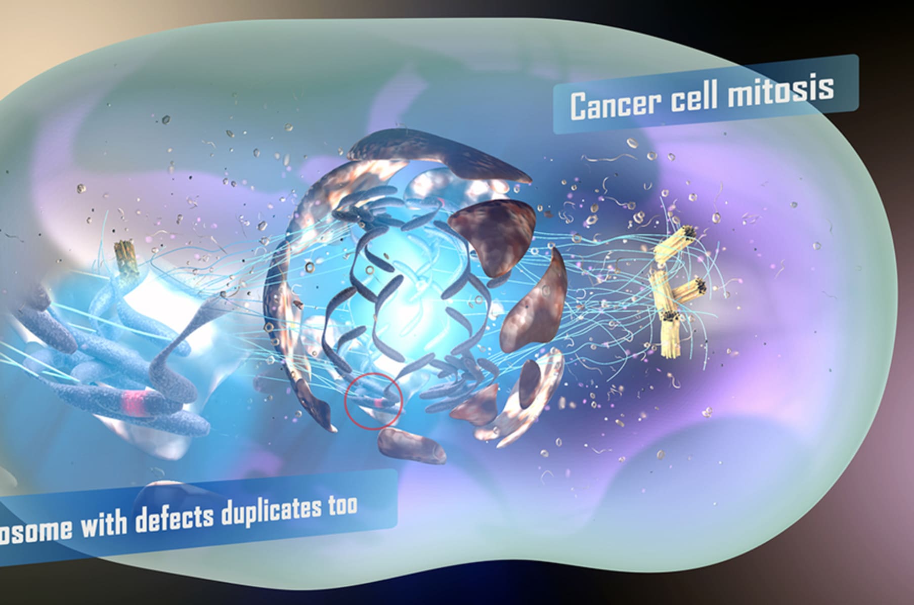 How Cancer Develops Detailed Animation Indiegogo