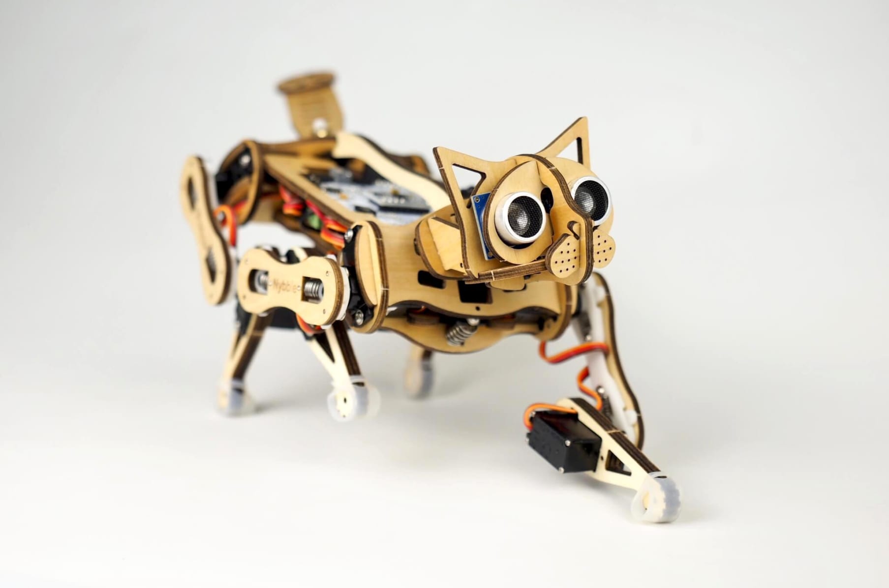Open cat robot 2025