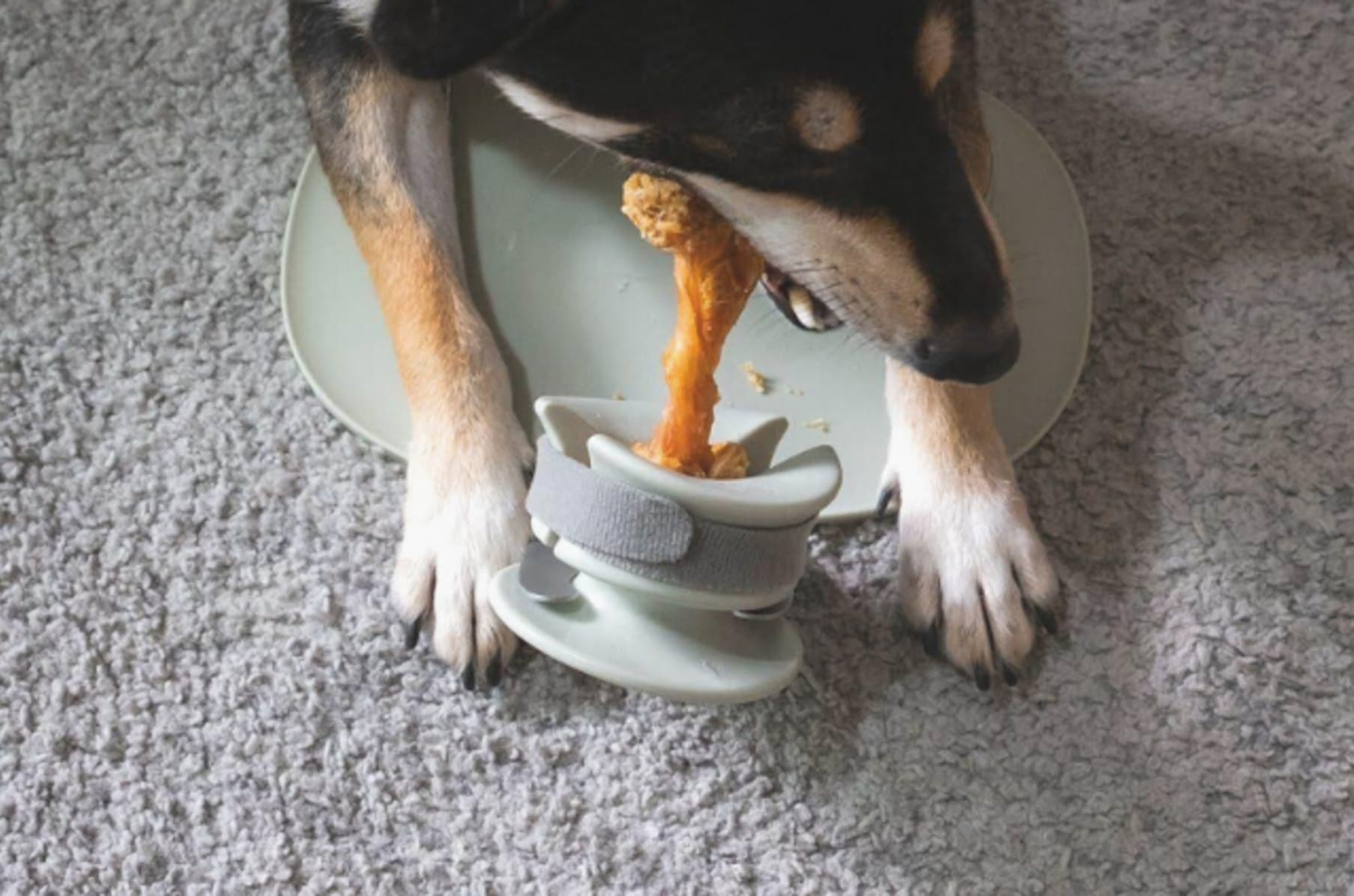 Wholesale CHEWDEN Trove: Dog Enrichment Feeder (Frozen Treat) for