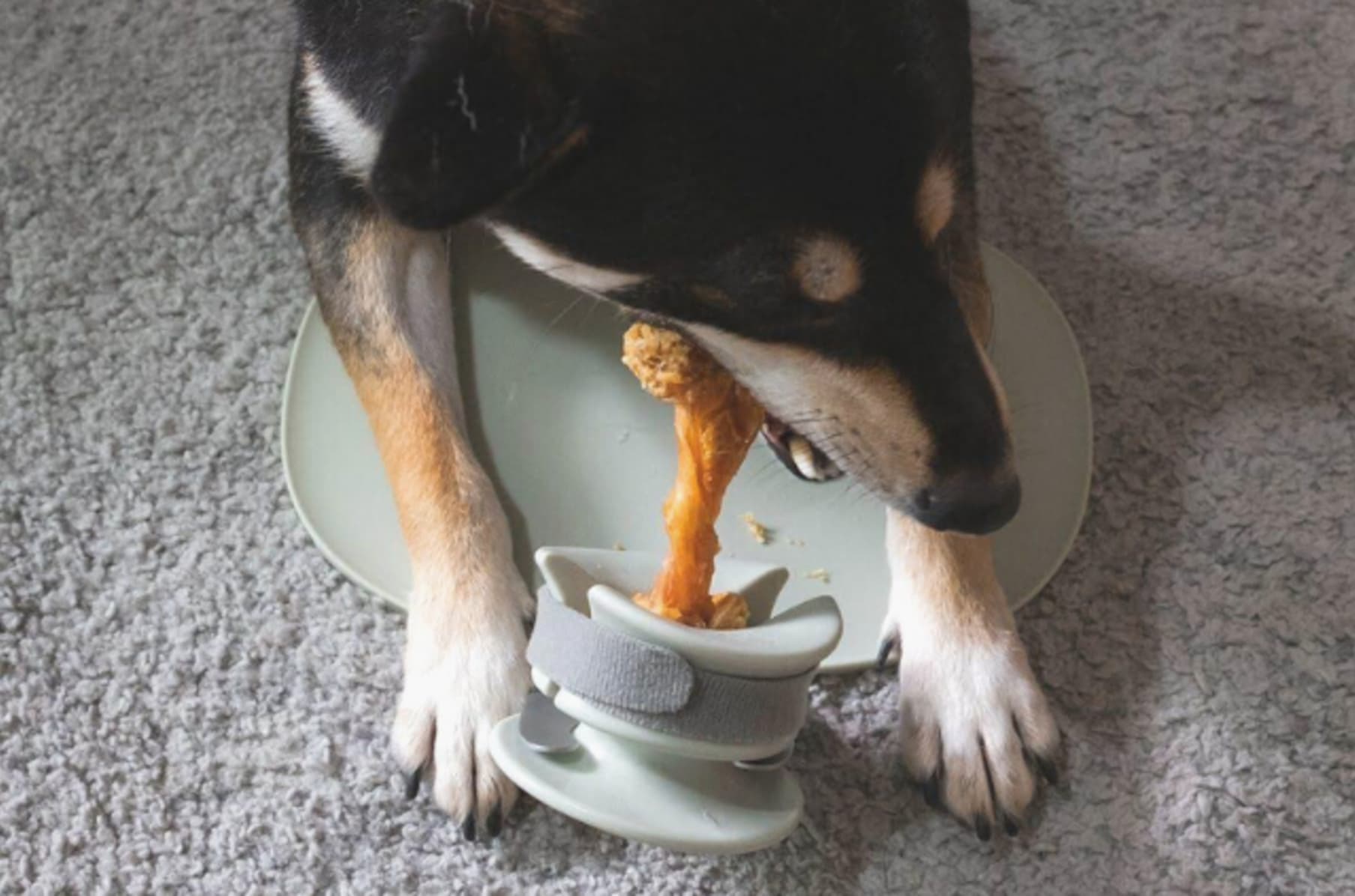 Wholesale CHEWDEN Trove: Dog Enrichment Feeder (Frozen Treat) for