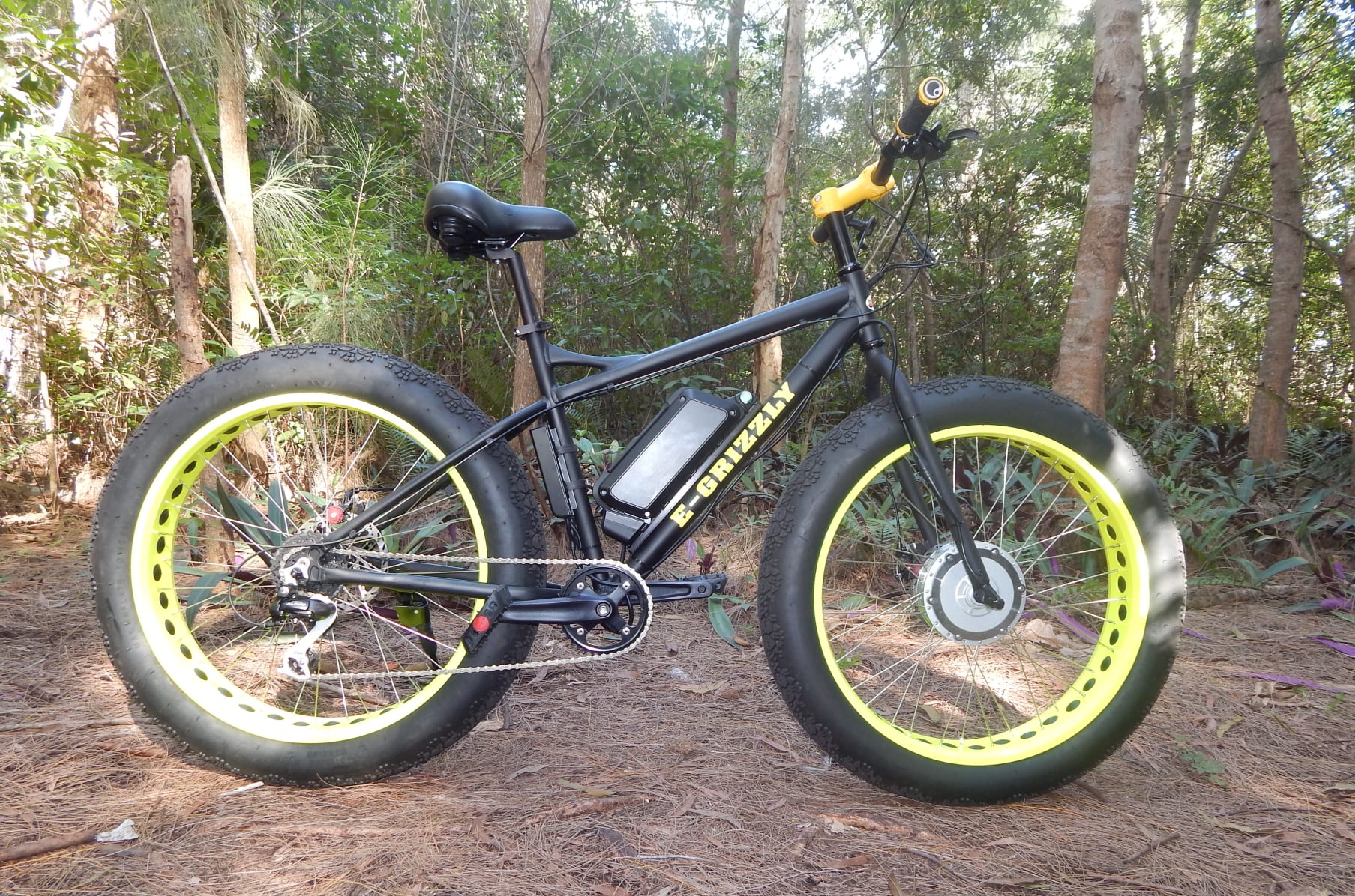 Powerful Electric Fat Bike 750 1000 or 1250 Watt Indiegogo