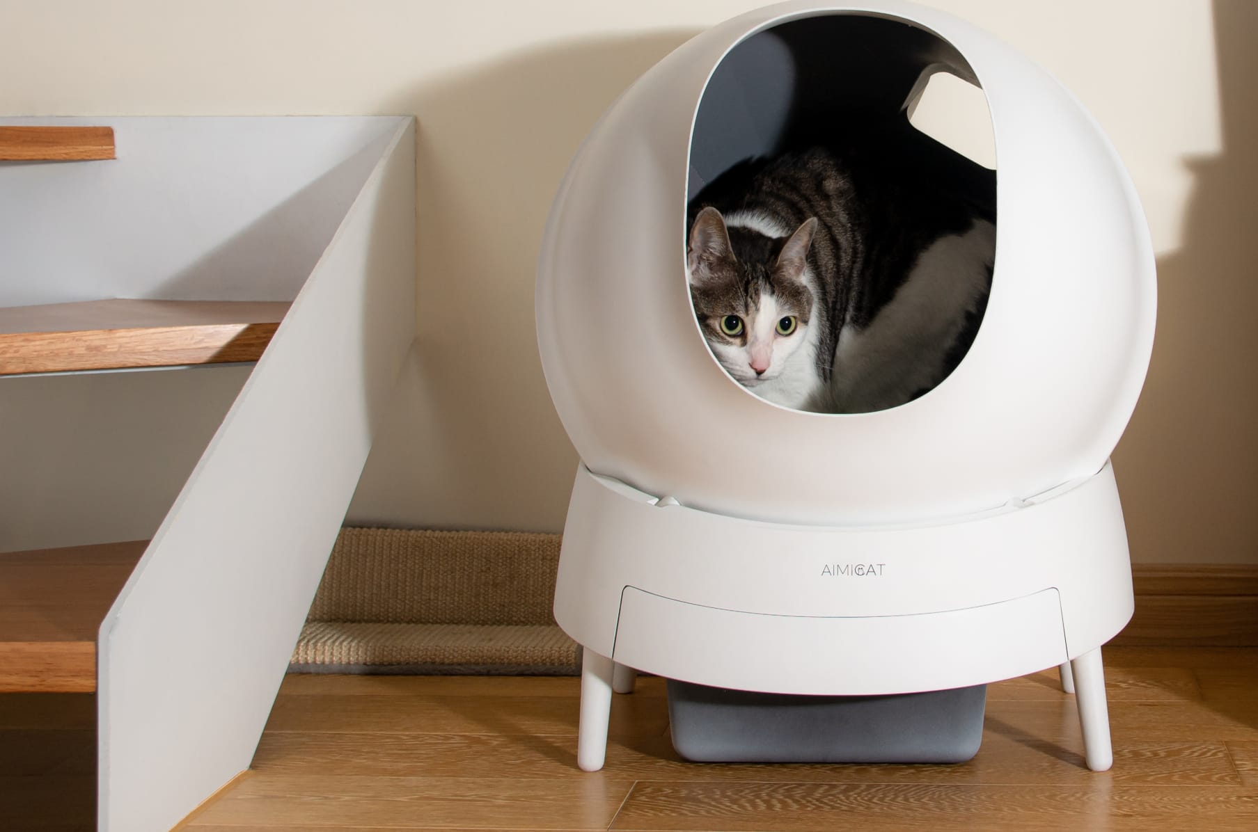 Auto kitty litter box sales