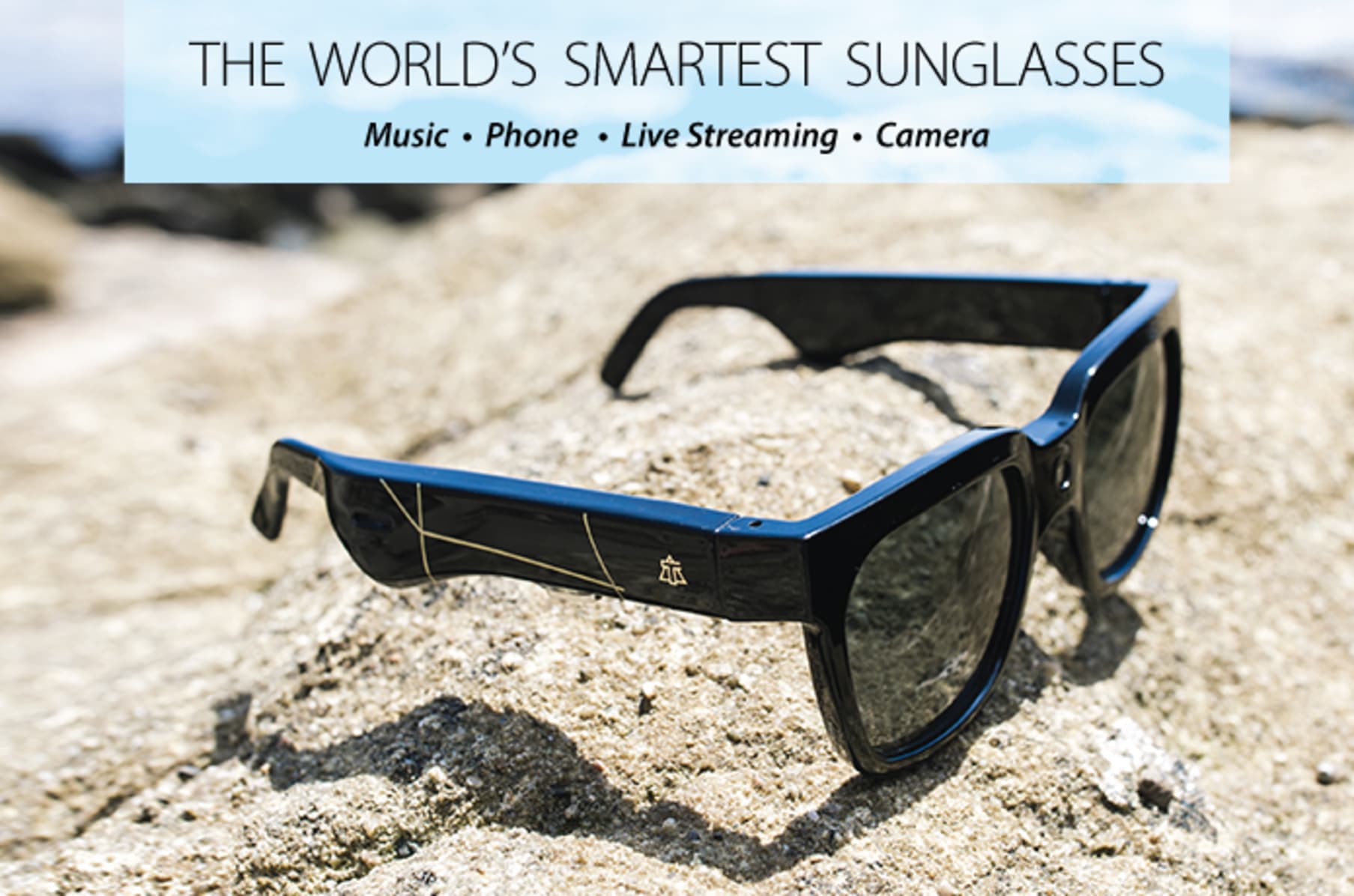 Alpha sunglasses shop