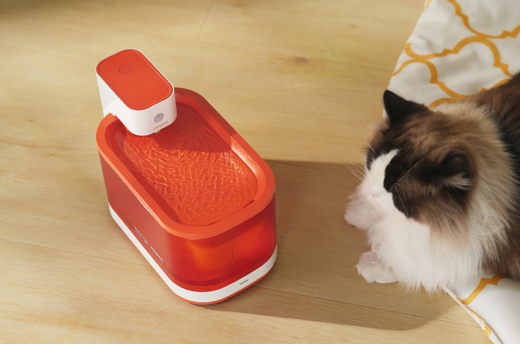 Pawaii's Caremi Mobile Smart Pet Fountain is now on Indiegogo! See