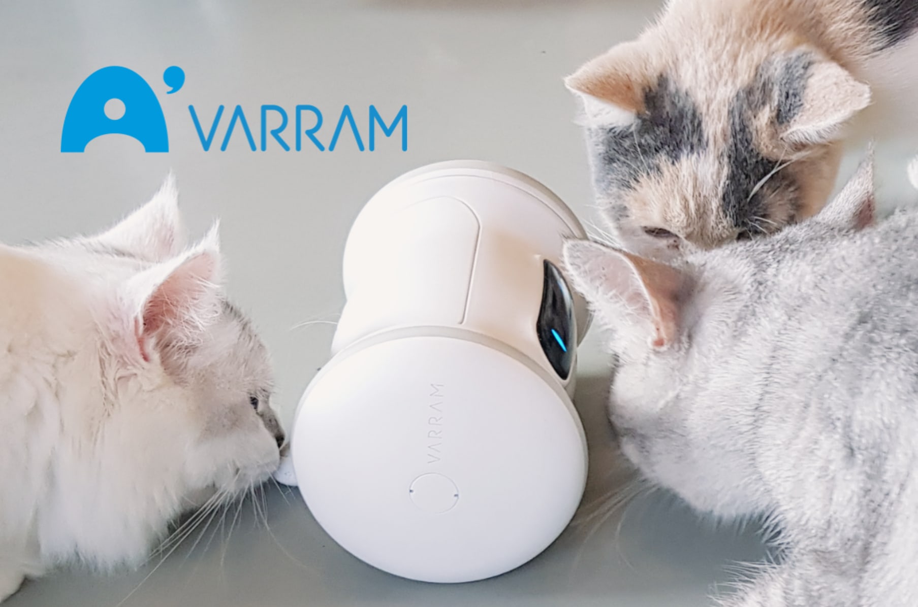A Smart Robot For Your Pet VARRAM Indiegogo
