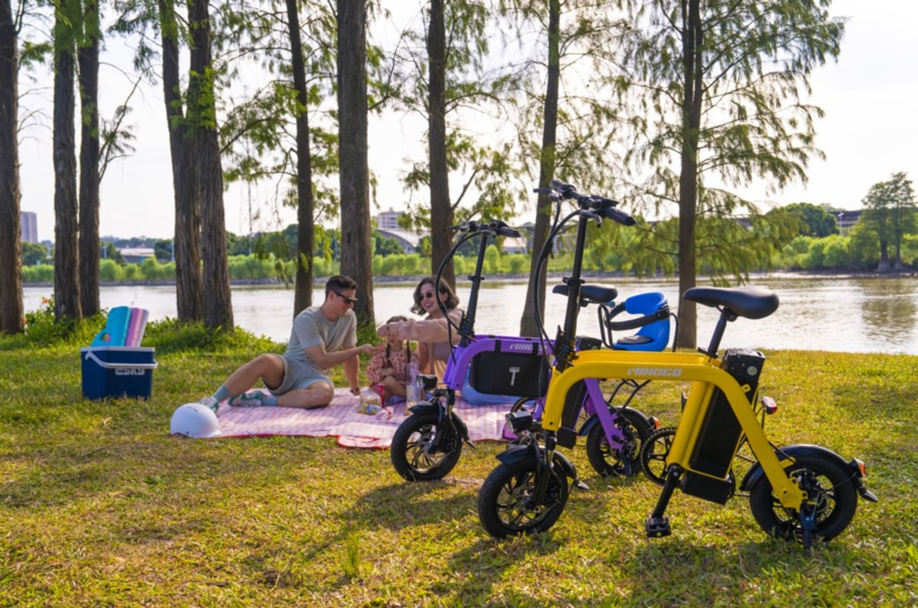 Hover way sales e bike