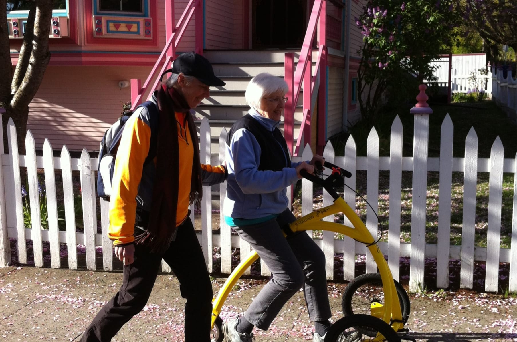Barbara alinker walking hotsell bike