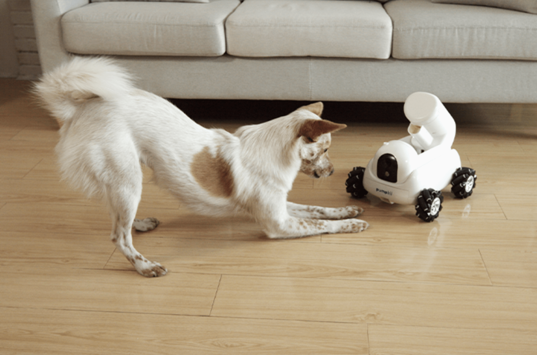 Pet care robot sales
