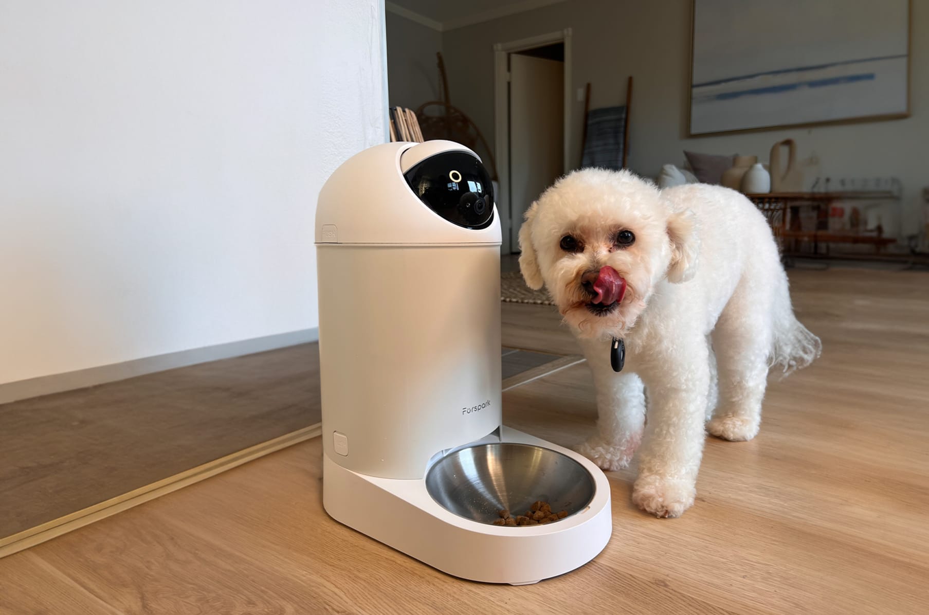 Facetime dog feeder clearance