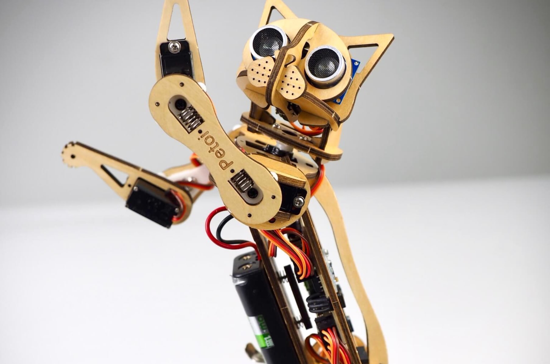 Kit robot chat mignon Open Source Nybble Kitten PetOi OpenCat à