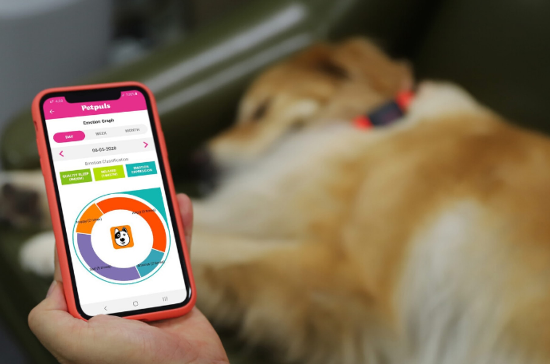 Petpuls Smart Collar: Give Your Dog A 'Voice' | Indiegogo