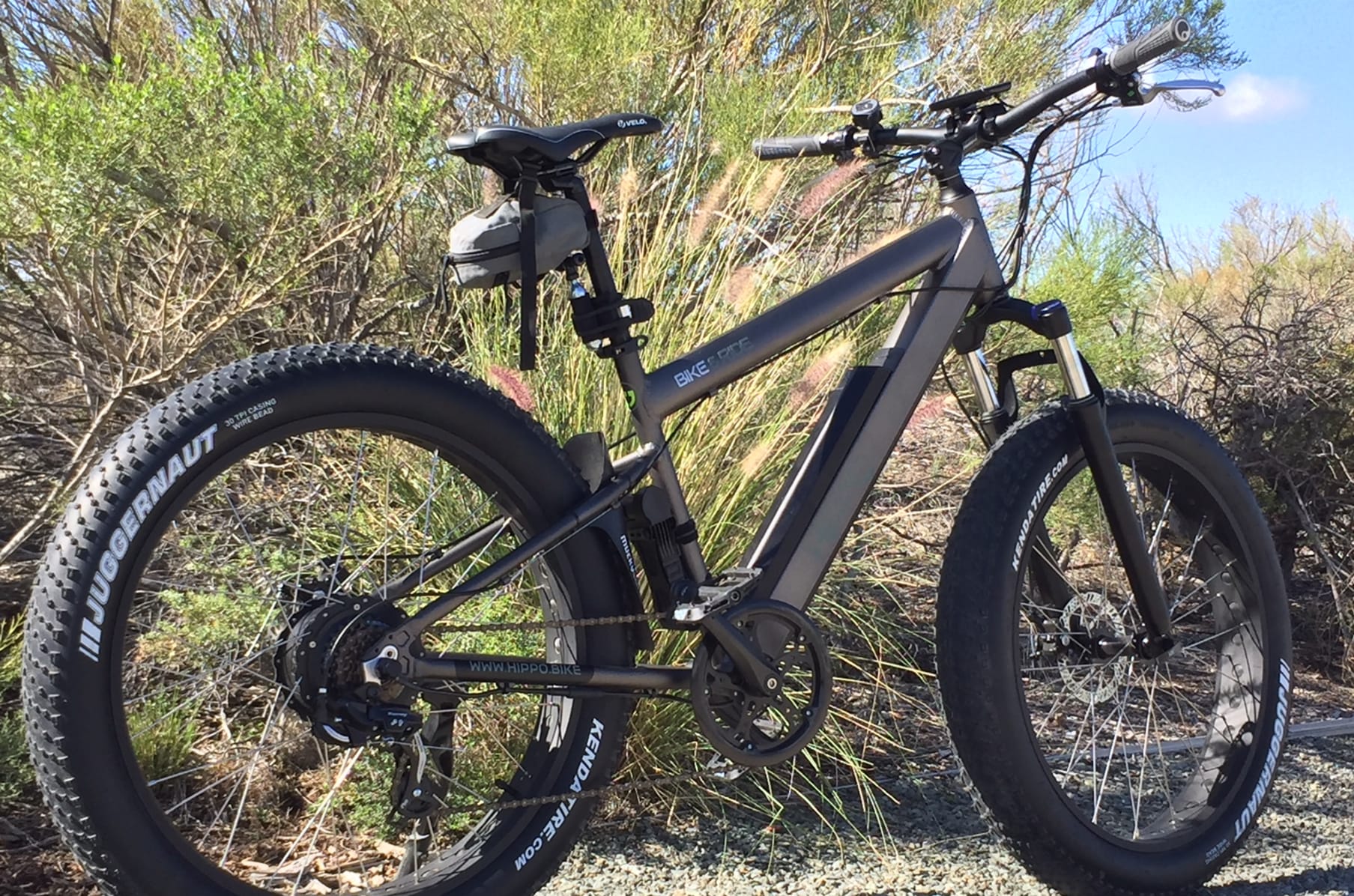 Hippo extreme cycle price best sale