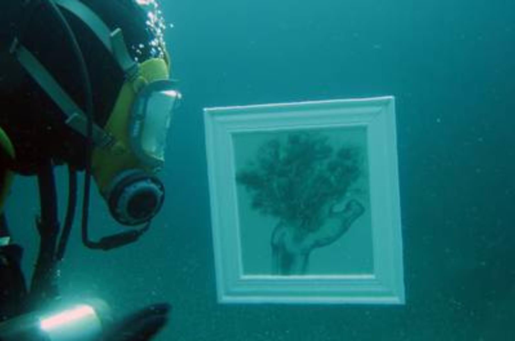 Aquart Indiegogo