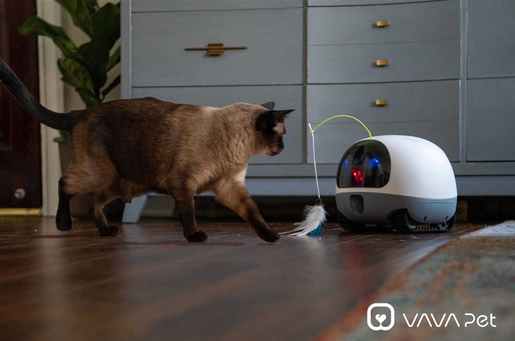 Pet monitor discount