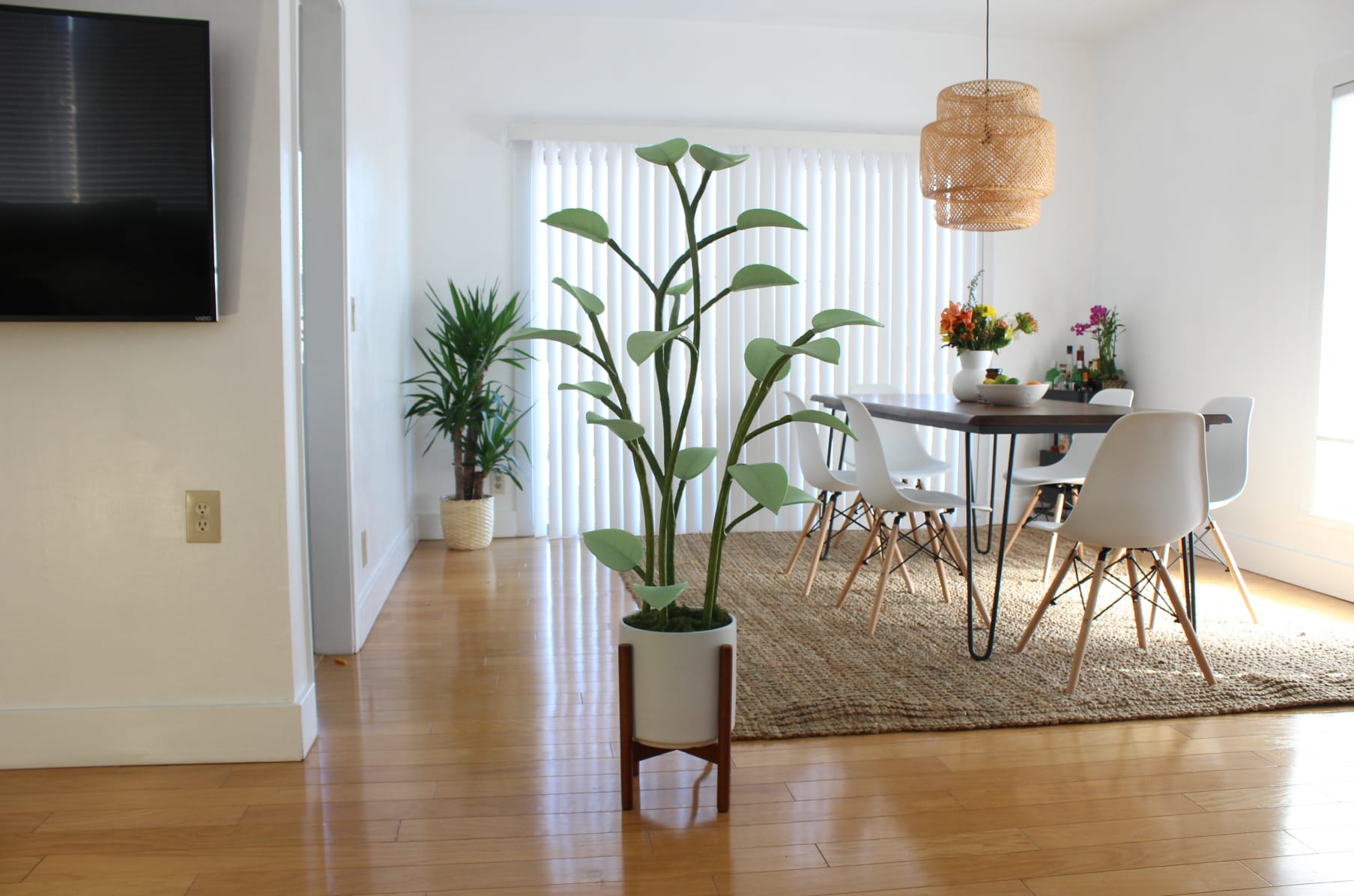 Led top house plant