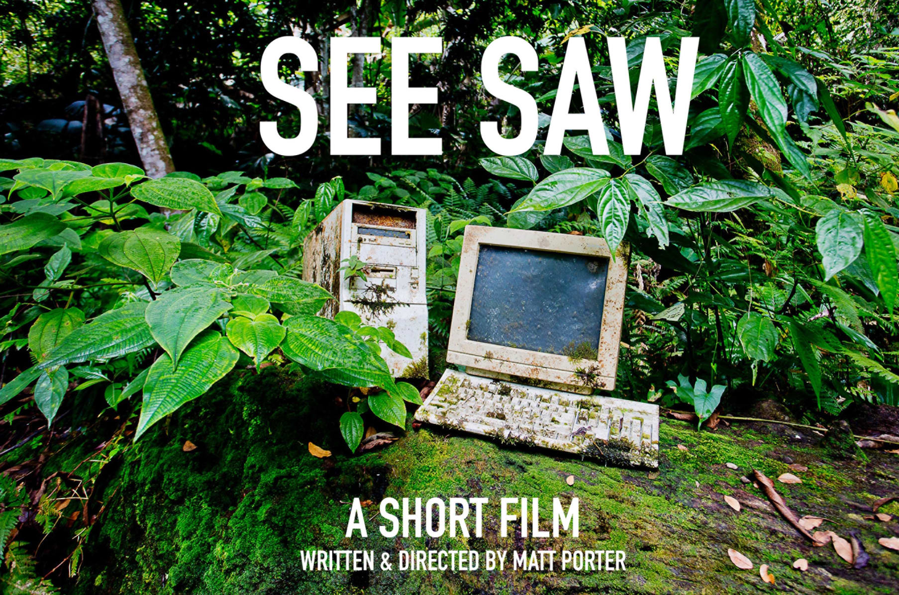 See clearance saw film