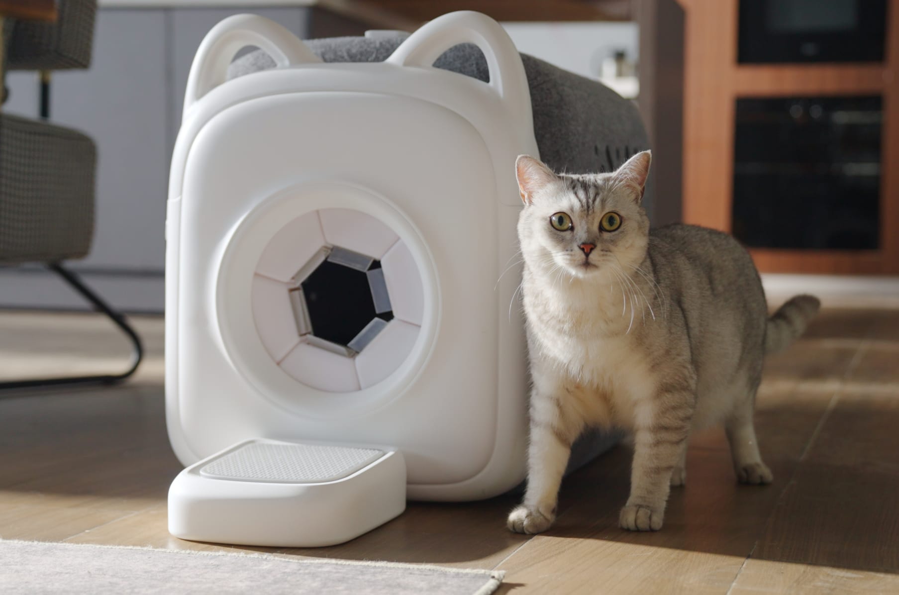 Automatic cat discount