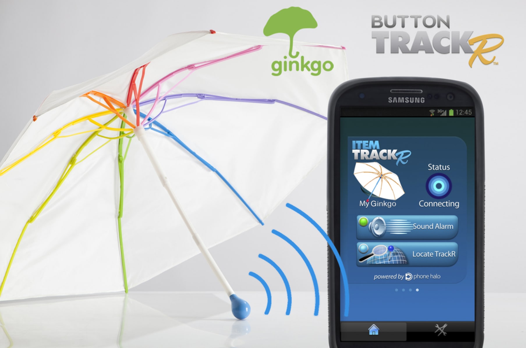 Ginkgo ombrello Clearance