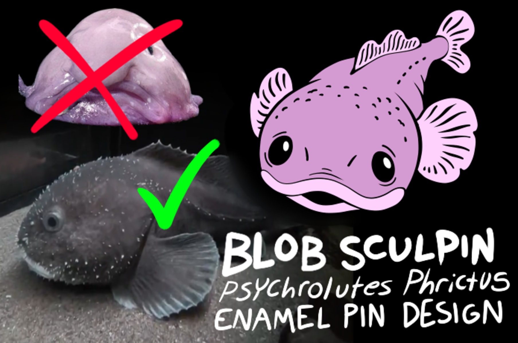 what blobfish really look like