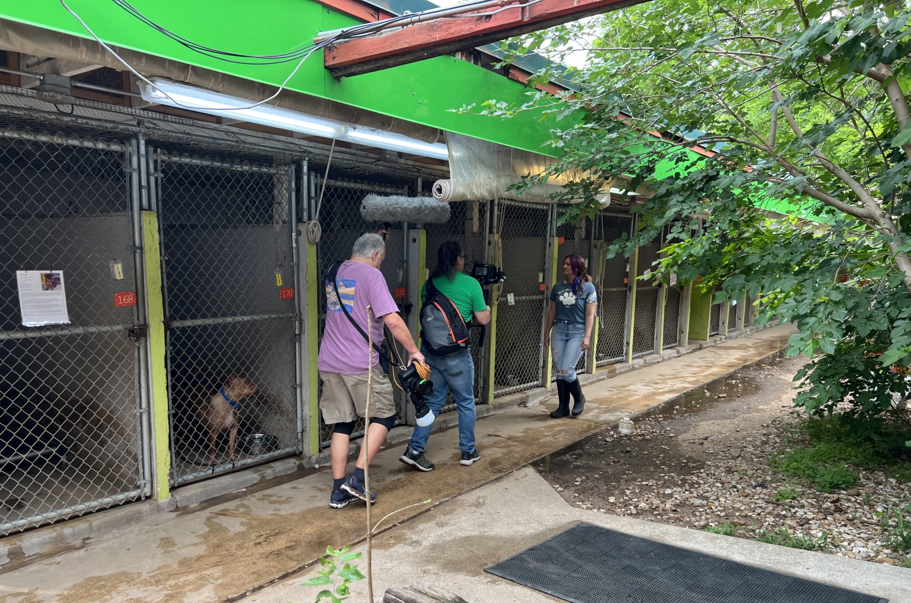 Busch Gardens Kennel Reviews Fasci Garden