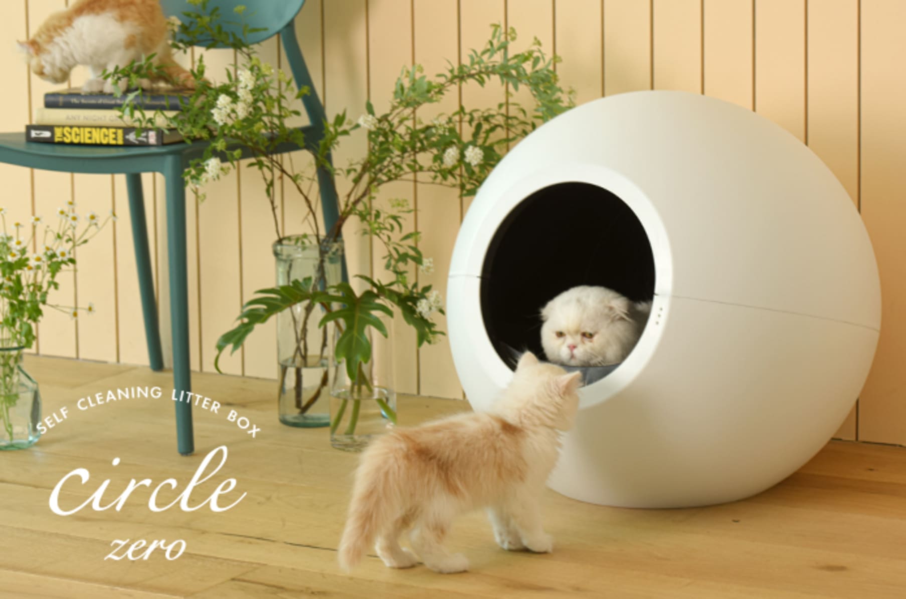 Korean cat sale litter box