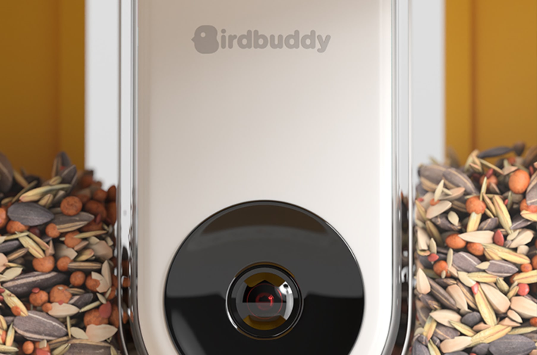 Bird Buddy: A Smart Bird Feeder by Bird Buddy — Kickstarter