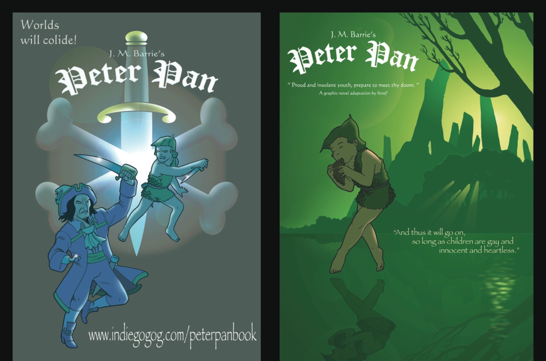 J M Barrie's Peter Pan: the graphic novel.