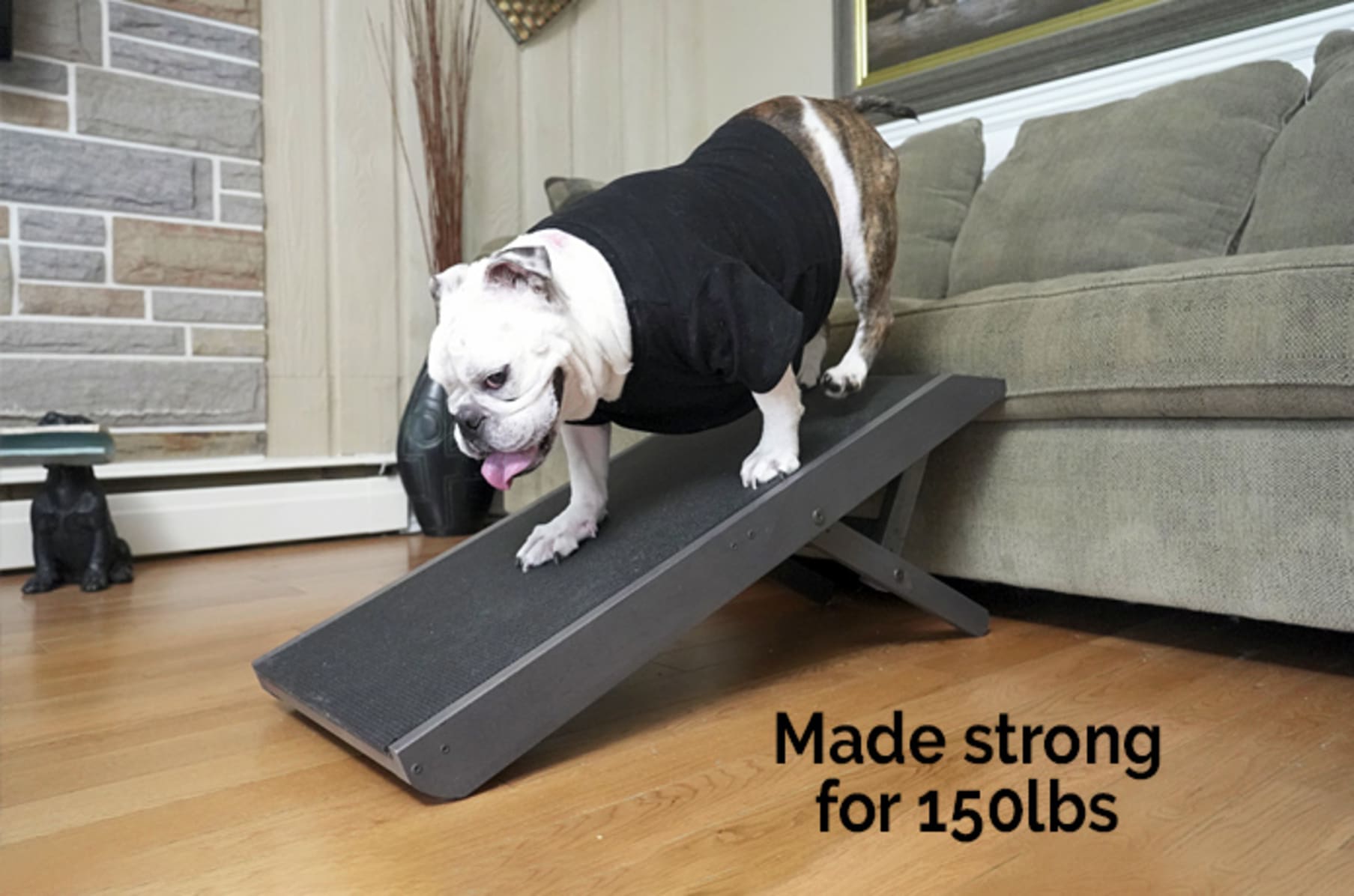 indiegogo dog ramp