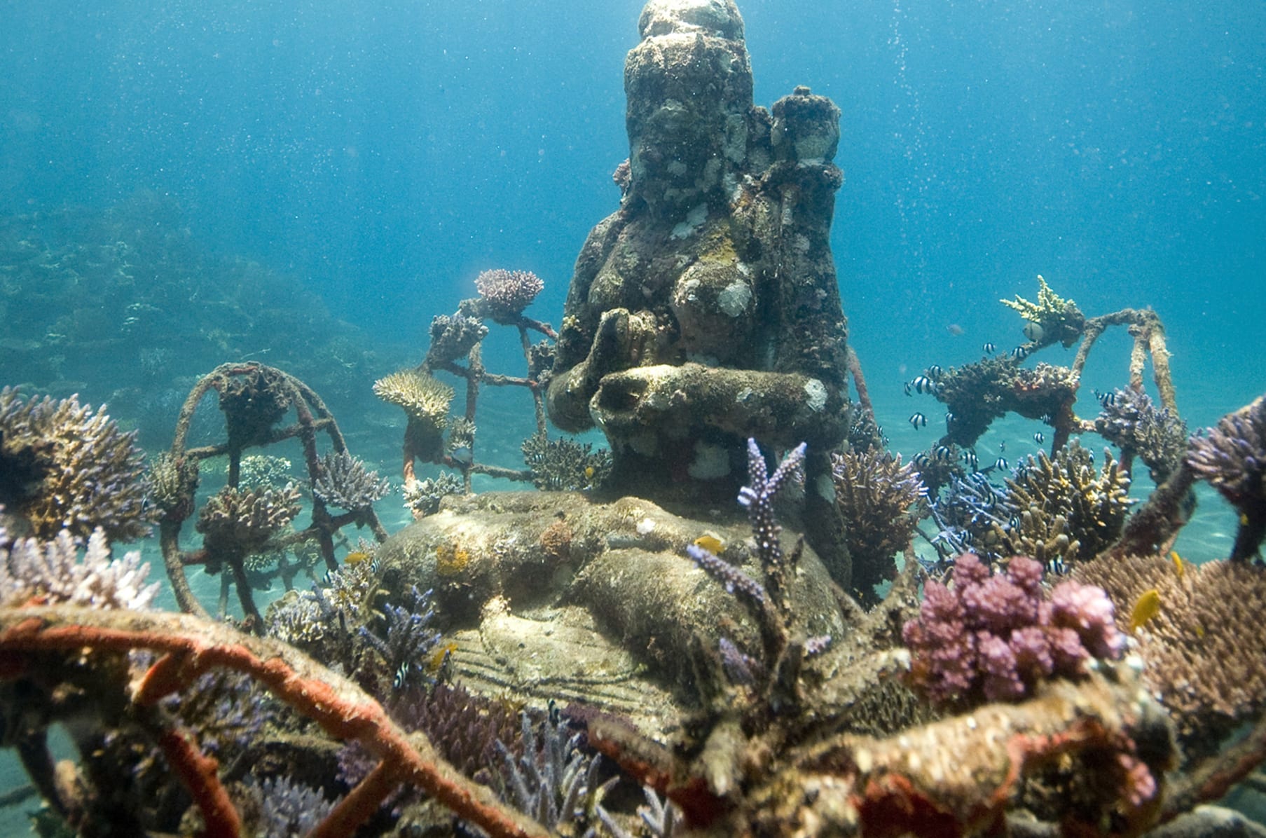 Belize coral sculpture