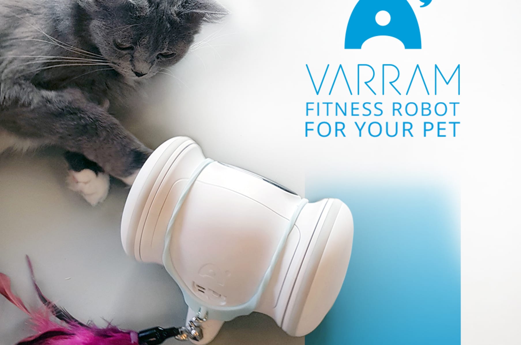 A Smart Robot For Your Pet - VARRAM |