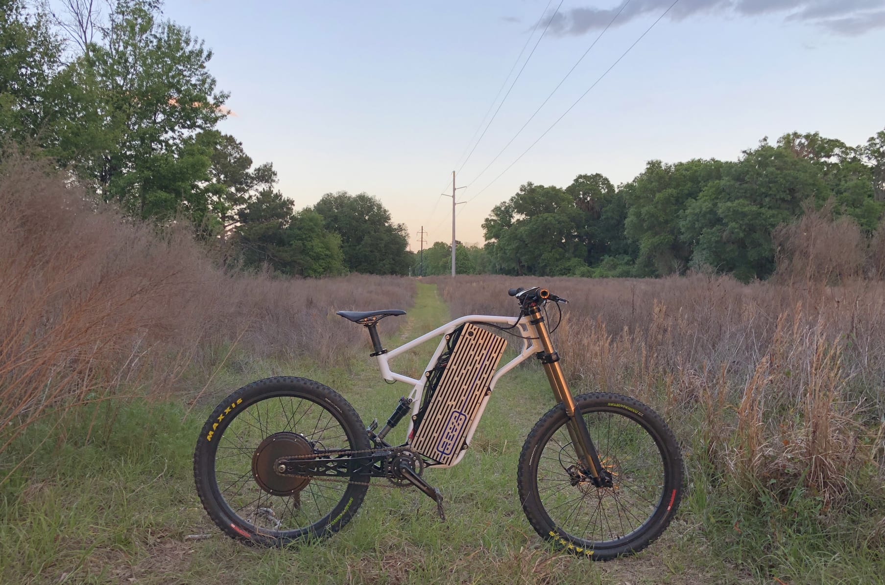 Reva electric bike best sale