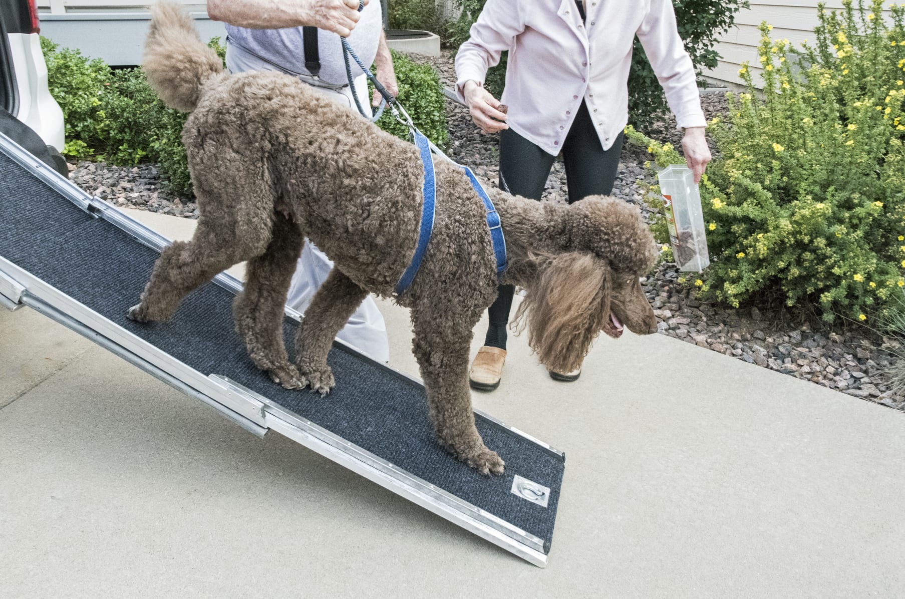 InYaGo Retractable Vehicle Access Ramp for Dogs Indiegogo
