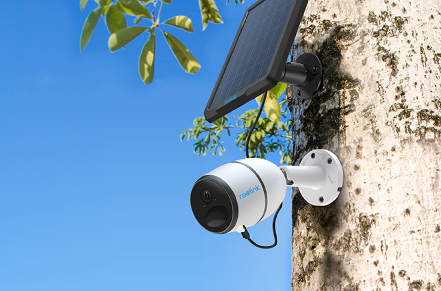 climax B.C. vice versa Reolink Go: Wire-Free 4G Mobile Solar Security Cam | Indiegogo