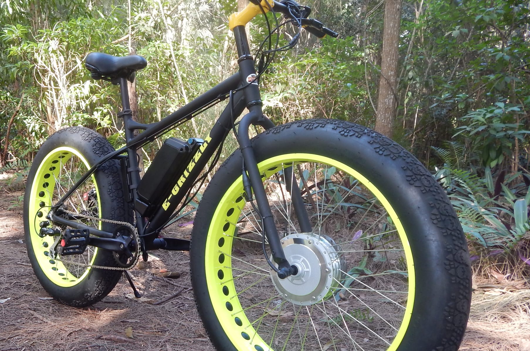 Powerful Electric Fat Bike 750 1000 or 1250 Watt Indiegogo