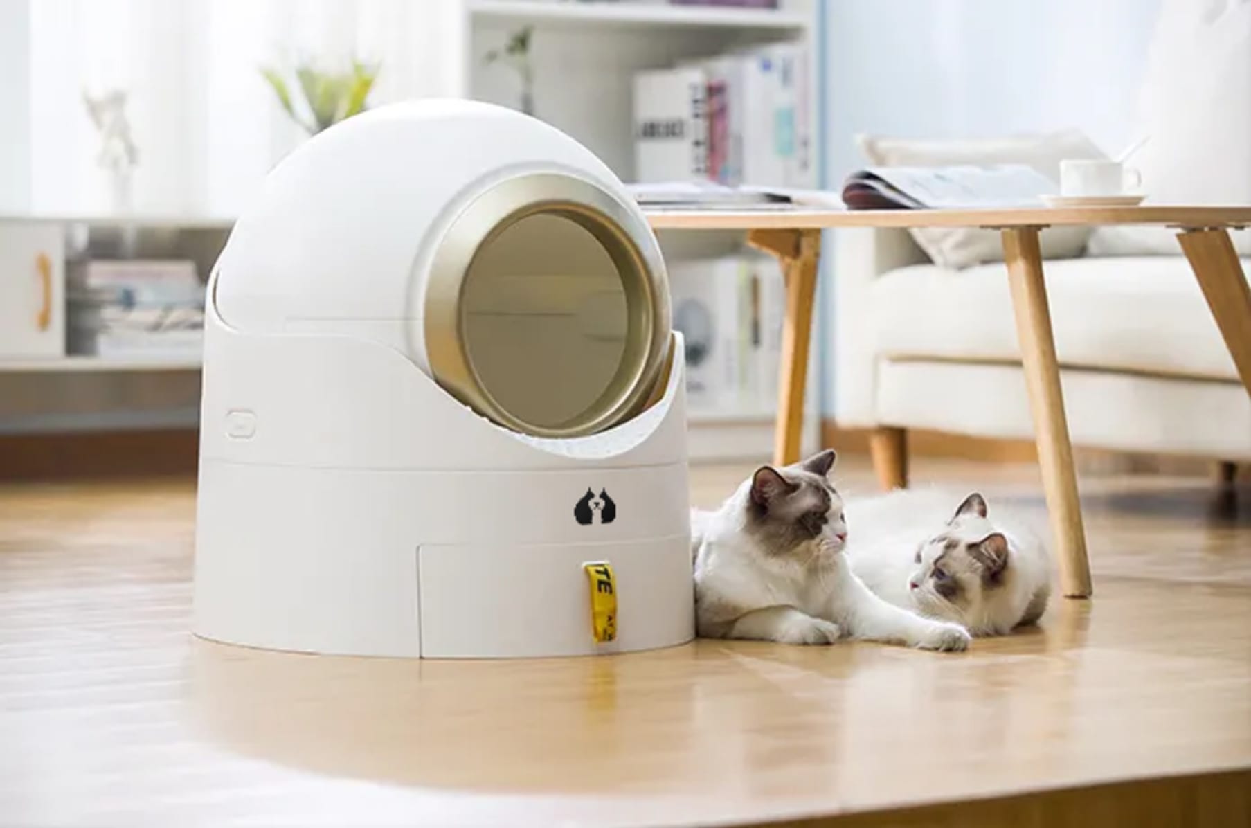 Semi automatic cat litter box store