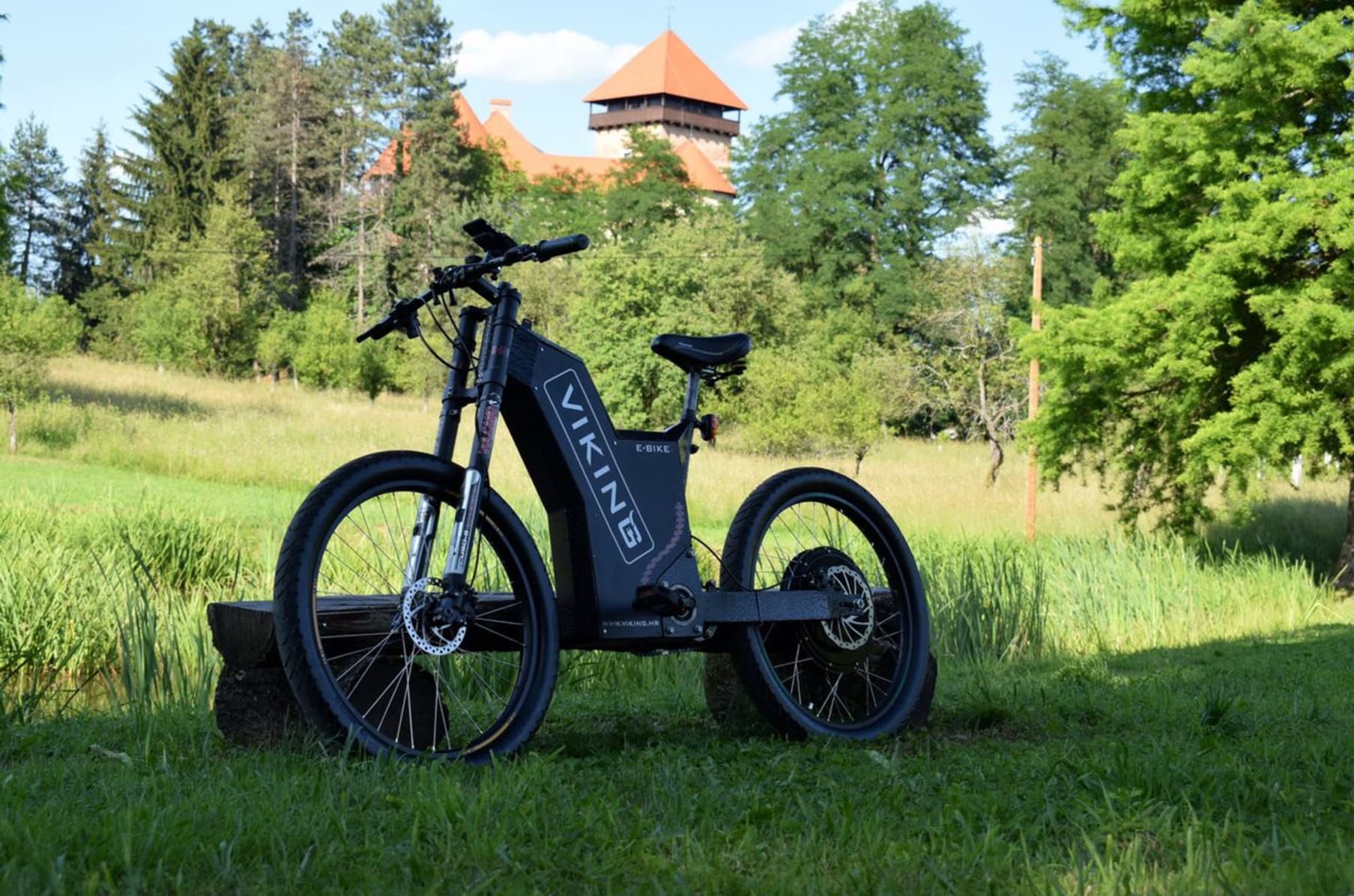Viking electric bike top