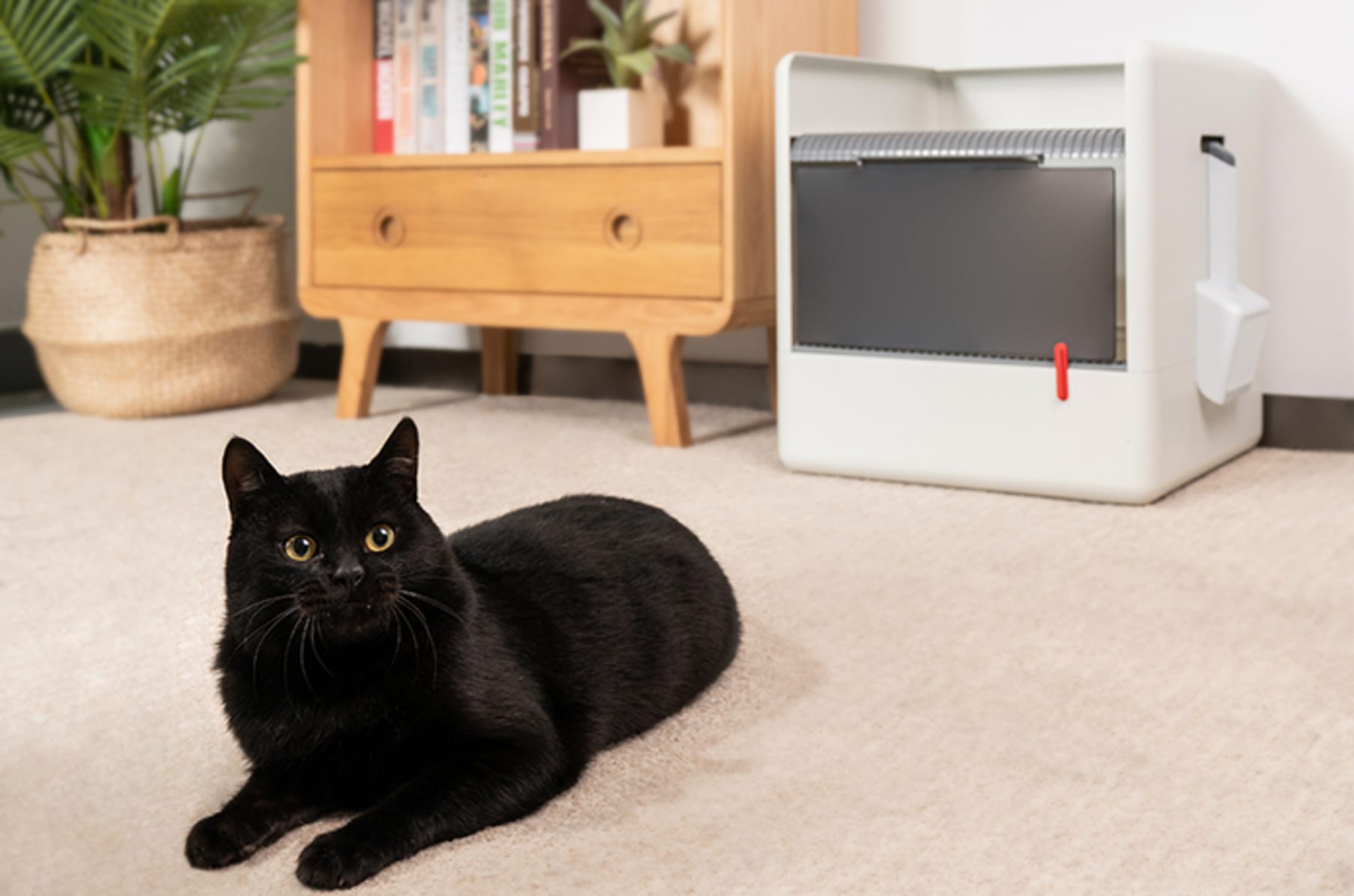 Litter tracking store prevention box