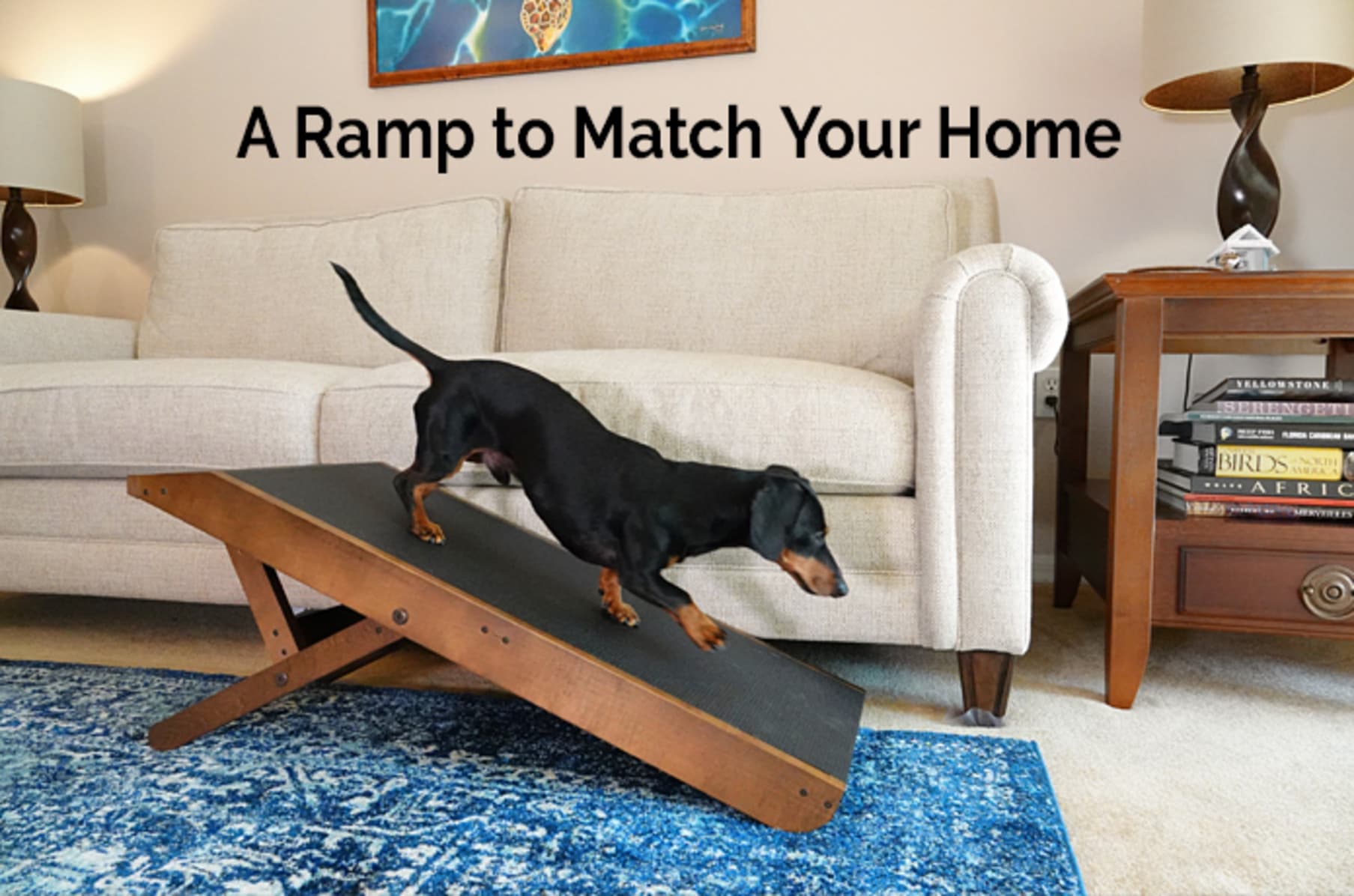 Indiegogo doggoramps sales