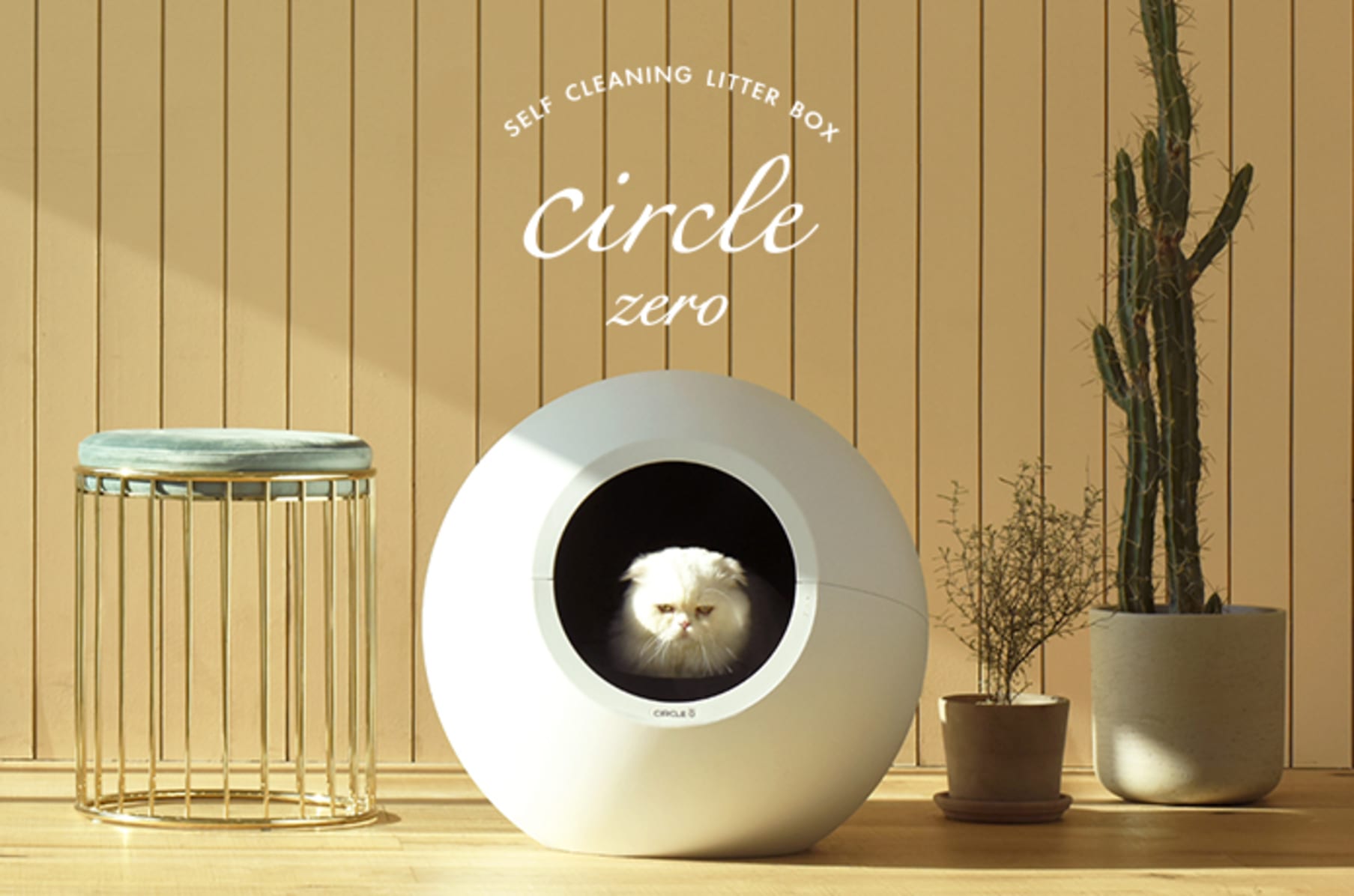 Circle zero litter outlet box
