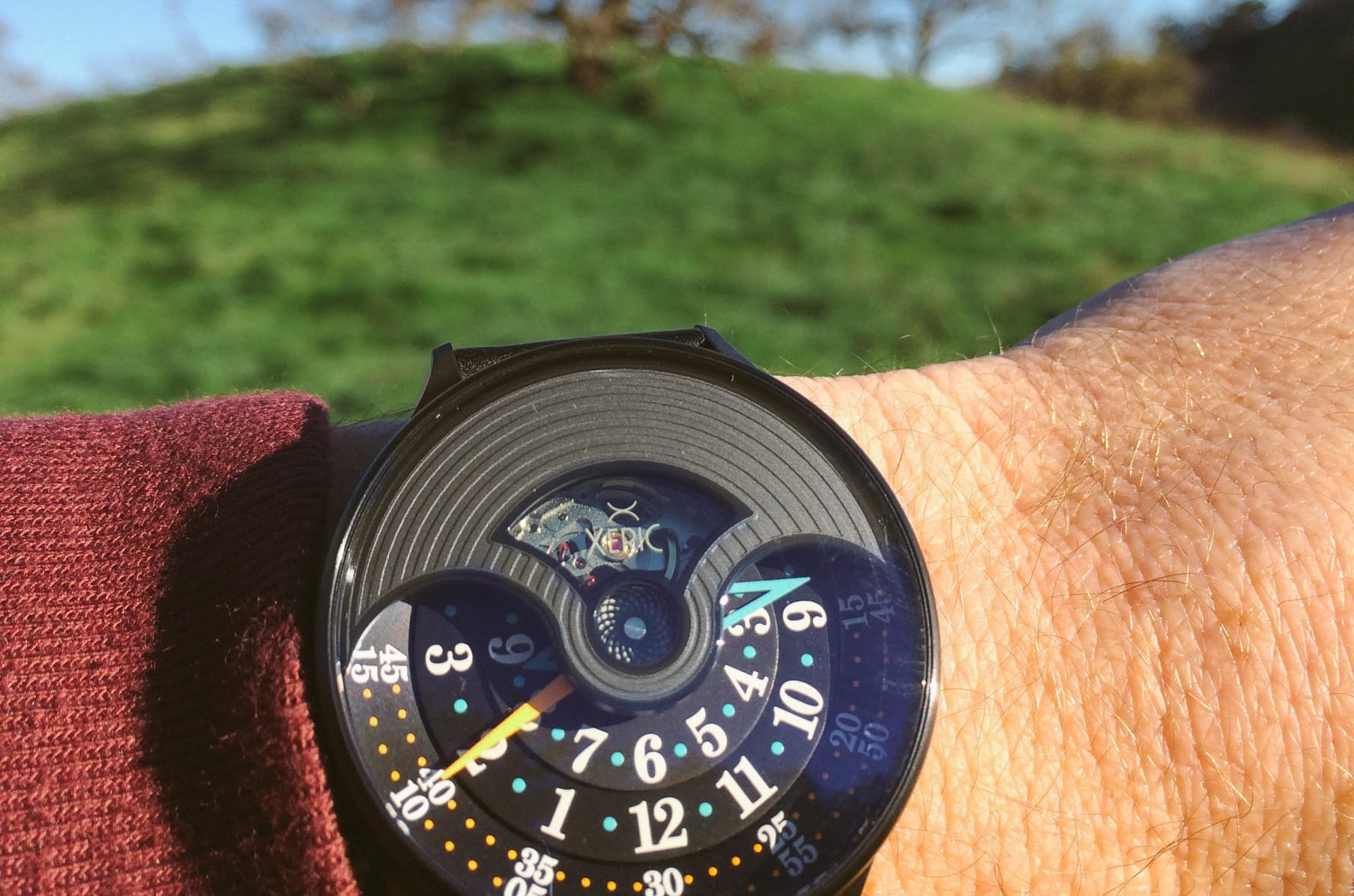 Xeric evergraph discount