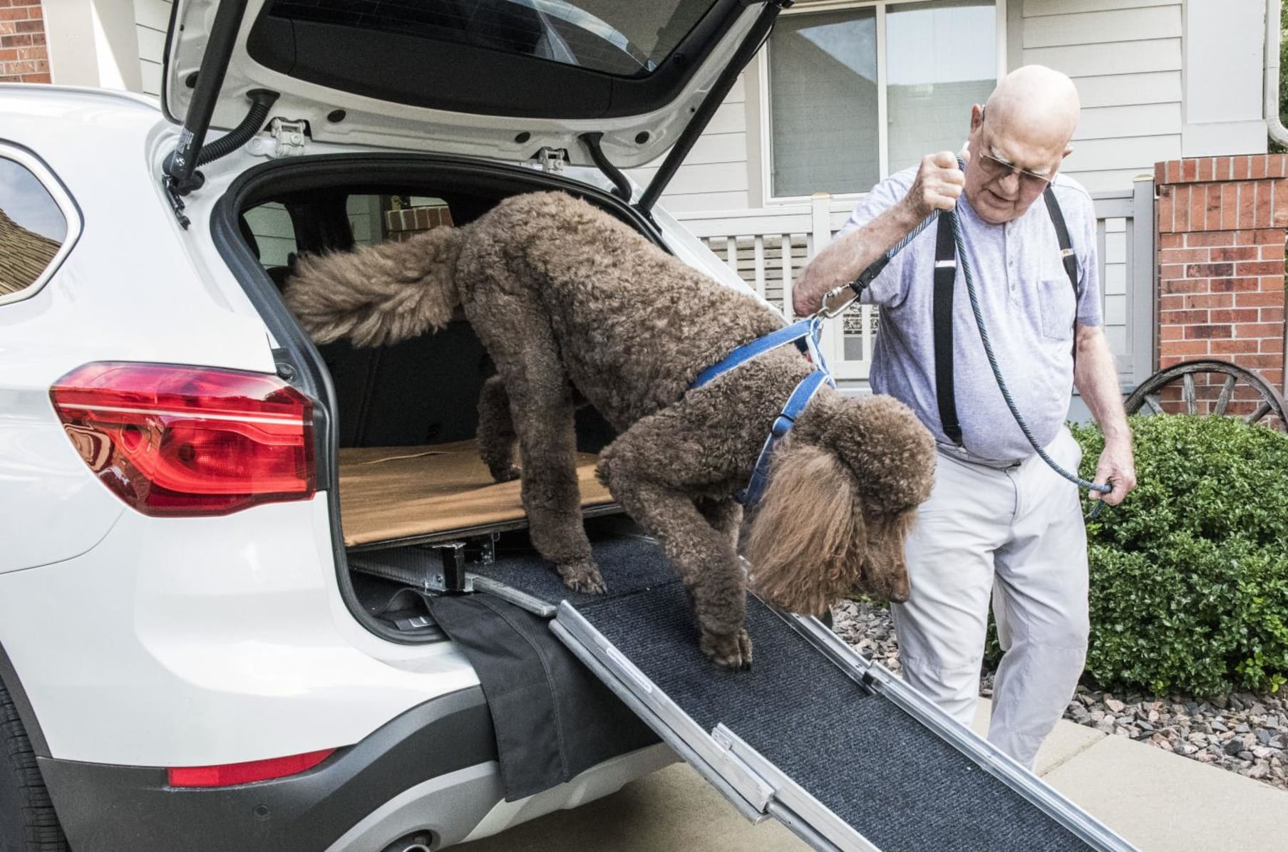 Indiegogo dog ramp clearance