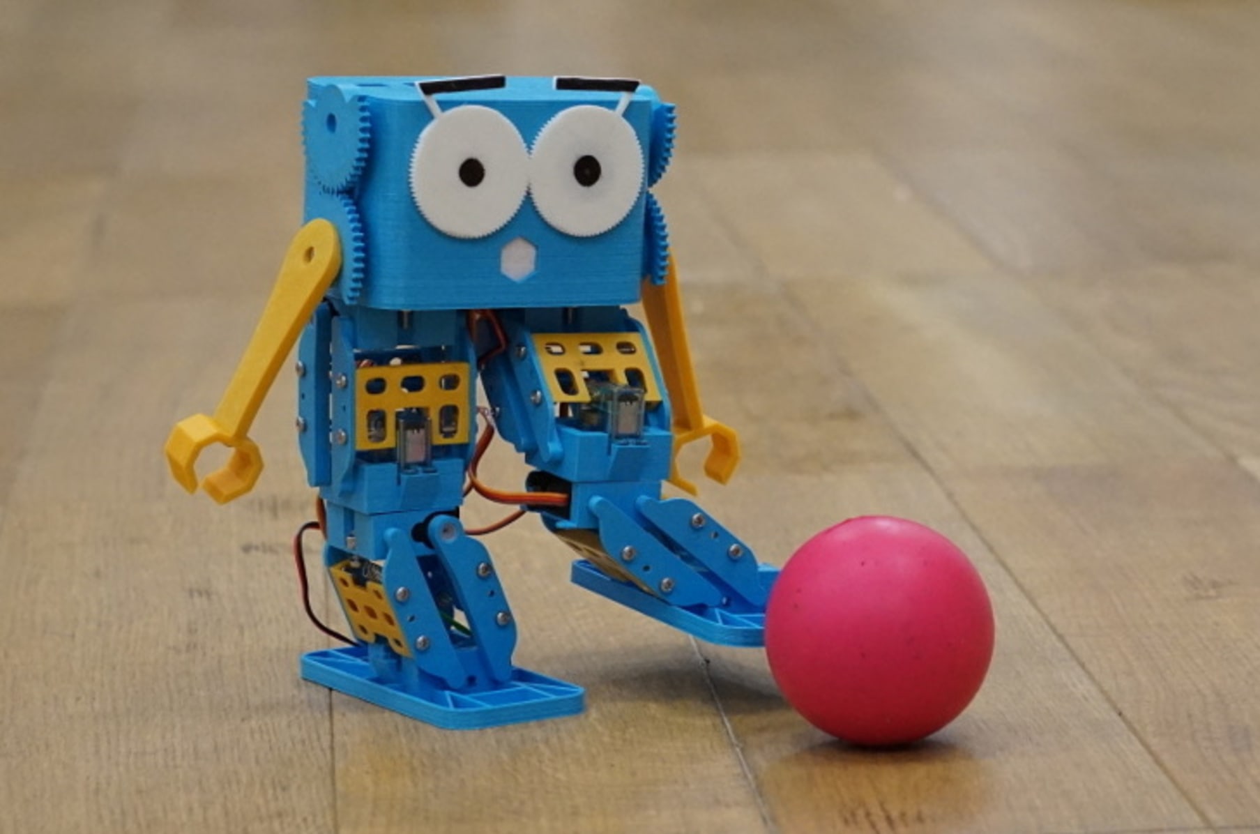 Marty The Robot | Indiegogo