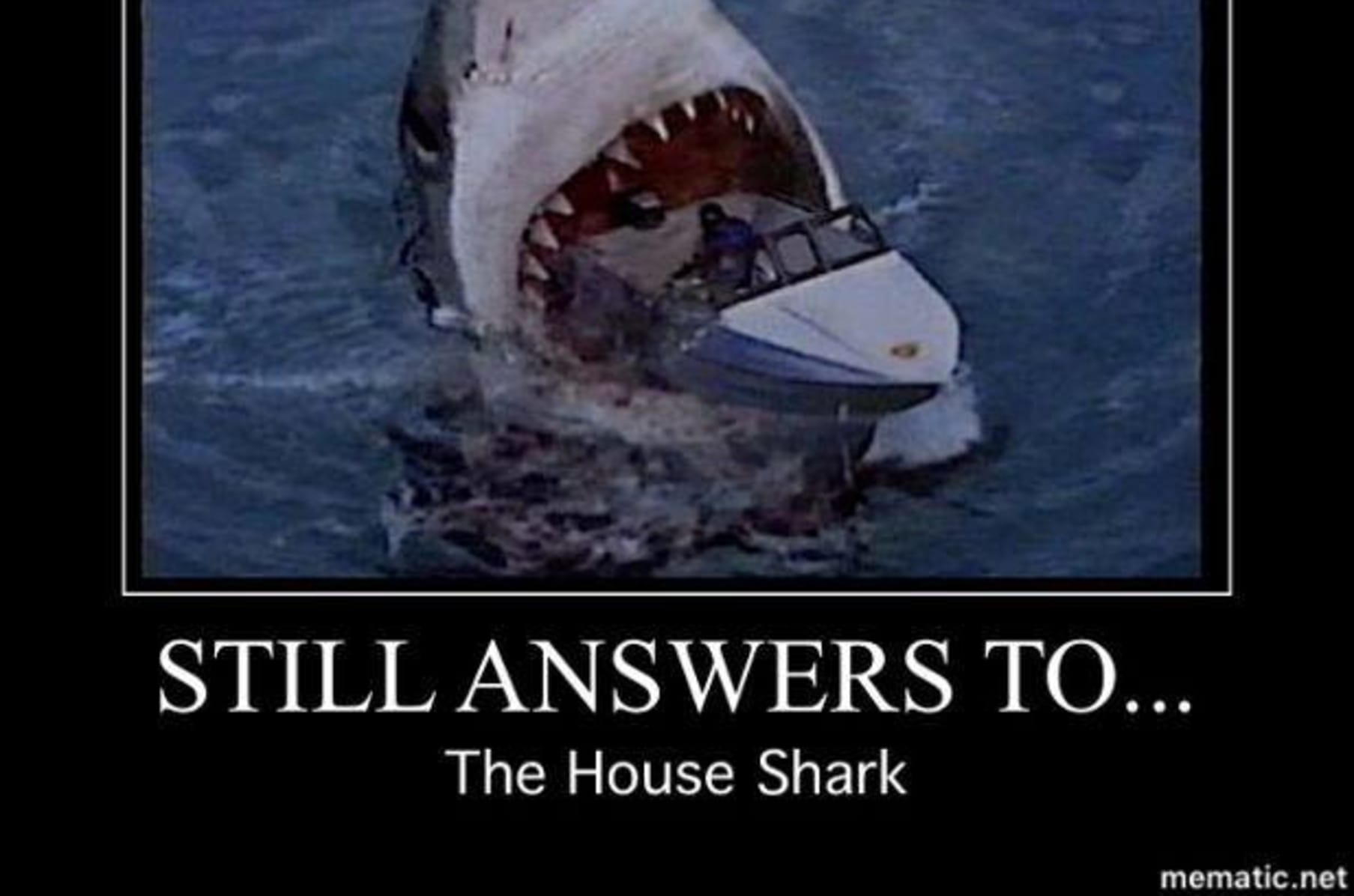 House Shark Indiegogo Our goal👇🏽 shift public perspective of sharks by sharing impactful photos and videos from every corner of the globe! house shark indiegogo