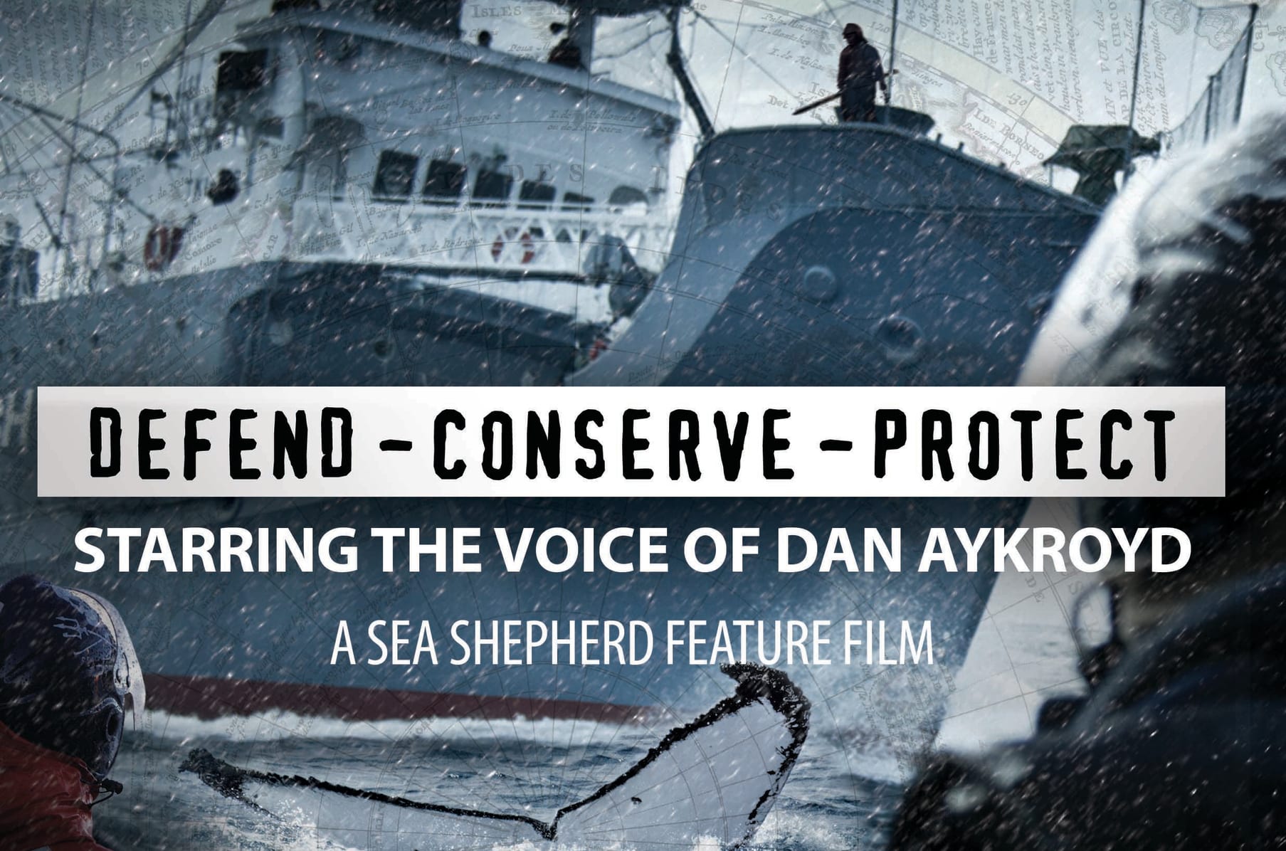 Defend Conserve Protect A Sea Shepherd Movie Indiegogo